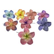 Tatau Plumeria