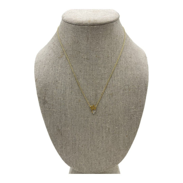 Double Cactus Necklace